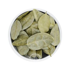 comprar-boldo-hojas-secas-peumus-boldus