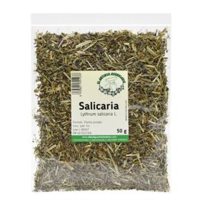comprar-salicaria-planta-lythrum-salicaria